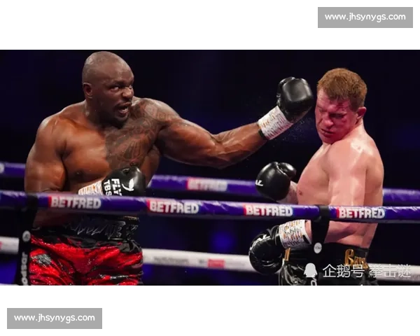 拳击vs全维度对决解析力量速度技术与战术的终极碰撞时代盛宴 拳击vs全维度对决解析力量速度技术与战术的终极碰撞时代盛宴